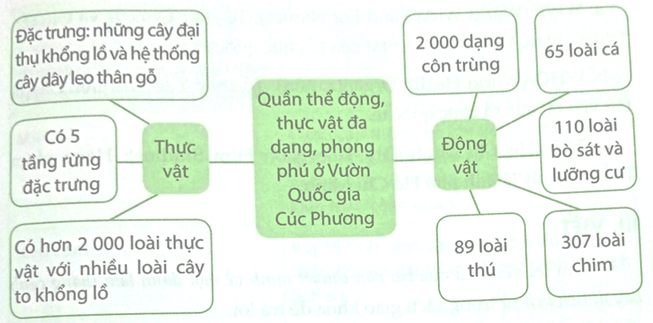 Có thể sử dụng những loại phương tiện phi ngôn ngữ nào để bài thuyết minh về một danh lam thắng cảnh