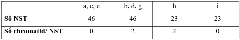 Phân tích hàm lượng DNA trong một tế bào qua các kiểu phân bào và qua các kì