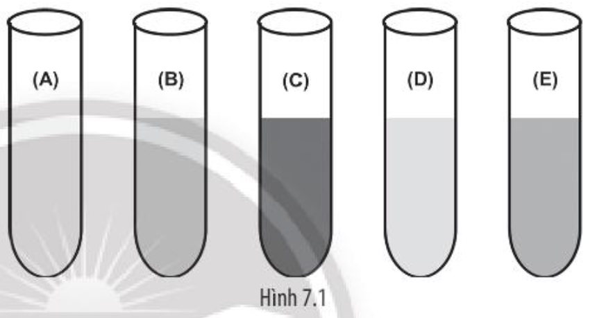 Năm ống nghiệm ở Hình 7.1 là kết quả của thí nghiệm nhận biết tinh bột trong tế bào