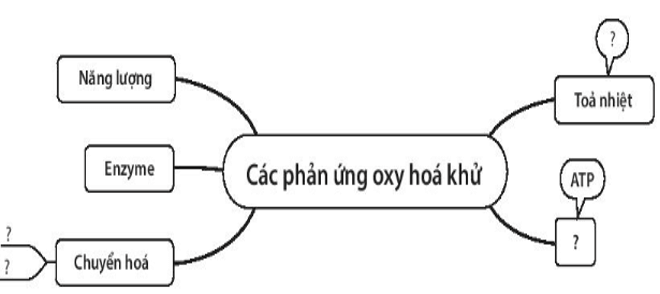 Hãy điền các thuật ngữ vào những chỗ có dấu và các lời giải thích trên