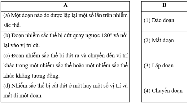 Nối thông tin tương ứng ở cột A và cột B, Một đoạn nào đó được lặp lại một số lần 