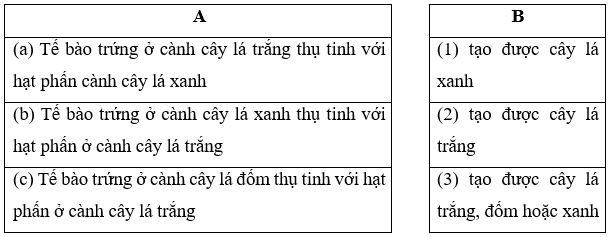 Khi phân tích sự di truyền gene quy định protein sinh tổng hợp lục lạp ở cây hoa phấn