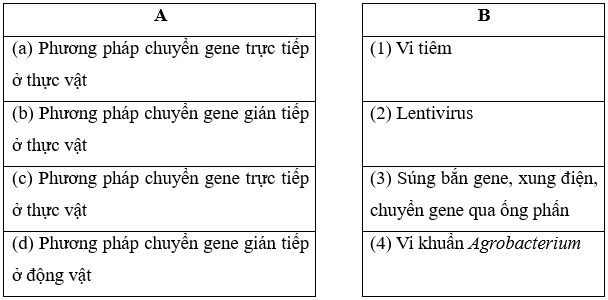 Nối thông tin cột A với cột B cho phù hợp, Phương pháp chuyển gene trực tiếp ở thực vật