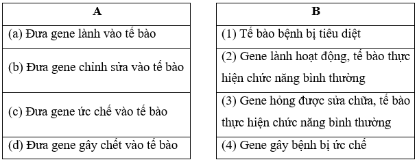 Nối thông tin cột A với cột B cho phù hợp, Đưa gene lành vào tế bào