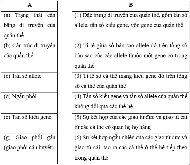 Nối nội dung ở cột A với giải nghĩa ở cột B sao cho phù hợp, Trạng thái cân bằng di truyền của quần thể