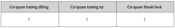 Cho các ví dụ sau về bằng chứng giải phẫu so sánh, Gai cây xương rồng và gai cây hoa hồng