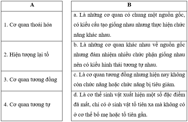 Cho các thông tin sau, Cơ quan thoái hóa, Hiện tượng lại tổ, Cơ quan tương đồng