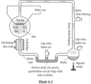 Vào những năm 1950, Stanley Miller và Harold Urey làm thí nghiệm kiểm chứng giả thuyết các hợp chất hữu cơ 