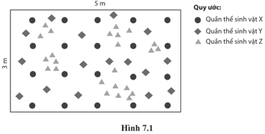 Hình 7.1 thể hiện sự phân bố của các cá thể ở 3 quần thể sinh vật