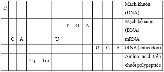 Cho bảng thông tin như sau. Hãy điền các nucleotide và amino acid vào các vị trí còn thiếu trong bảng trên