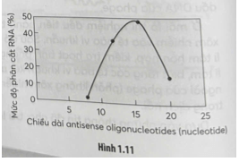 Dòng thông tin di truyền từ DNA đến protein thông qua trung gian là mRNA