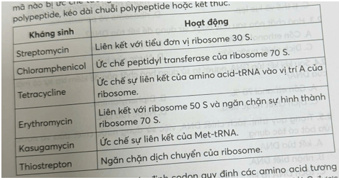 Nhiều loại kháng sinh có hiệu quả chống lại các bệnh nhiễm trùng do vi khuẩn