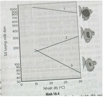 Ba dòng ruồi giấm Drosophila melanogaster khác nhau được kí hiệu 1, 2, 3