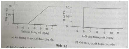 Ếch cây mắt đỏ (Agalychnis callidryas) sống ở vùng nhiệt đới Trung Mỹ