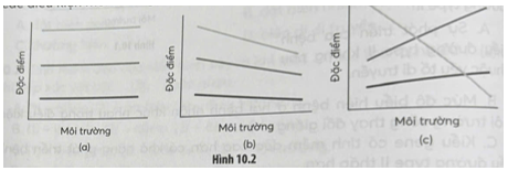 Hình nào dưới đây minh hoạ sự mềm dẻo của đặc điểm kiểu hình trong các điều kiện môi trường khác nhau?