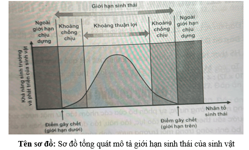Hoàn thành sơ đồ sau đây bằng cách điền từ/cụm từ thích hợp vào chỗ trống