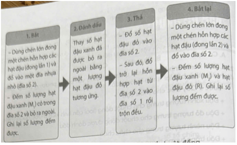 Tiến hành tính kích thước quần thể sinh vật bằng phương pháp bắt, đánh dấu, thả, bắt lại