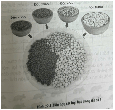 Tiến hành tính kích thước quần thể sinh vật bằng phương pháp bắt, đánh dấu, thả, bắt lại