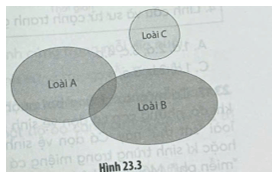 Sự phân hóa về ổ sinh thái thức ăn của ba loài được kí hiệu là A, B, C như Hình 23.3