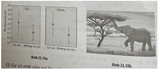 Khi so sánh sự đa dạng (đo bằng chỉ số Shannon) các loài cỏ và chim tại một savan ở Eastern Cape