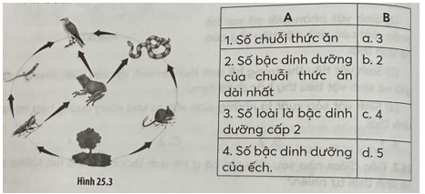 Lưới thức ăn của một hệ sinh thái trên cạn được minh hoạ như Hình 25.3. Quan sát lưới thức ăn
