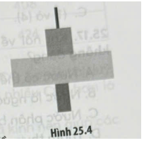 Loại tháp sinh thái nào luôn không có hình dạng như mô tả trong Hình 25.4 ở bên?
