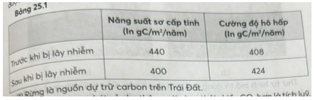 Trong thập kỉ qua, bọ thông núi (Dendroctonus ponderosae) đã giết chết hàng triệu cây cối