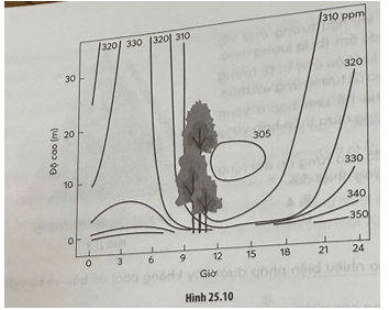 Khi tiến hành đo nồng độ CO2 trong bầu khí quyển trên và trong khu rừng vào ngày hè