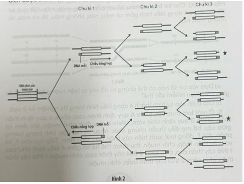 Năm 1985, Kary Banks Mullis đã công bố kĩ thuật PCR (Polymerase Chain Reaction)