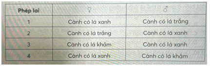 Do đột biến trong lục lạp khiến màu sắc lá không thể phát triển nên cây có thể có lá màu xanh lục