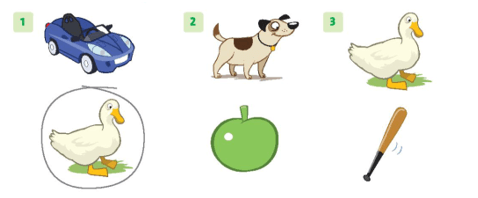 Sách bài tập Tiếng Anh lớp 1 Family and Friends Unit 1 Lesson five (trang 14)