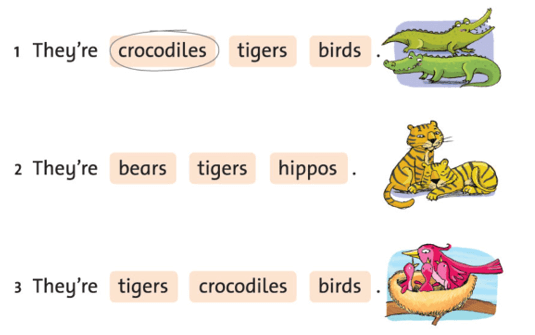 Sách bài tập Tiếng Anh lớp 1 Family and Friends Unit 4 Lesson two (trang 31)