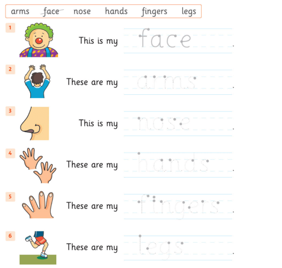 Sách bài tập Tiếng Anh lớp 1 Family and Friends Unit 5 Lesson six (trang 41)
