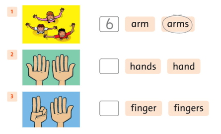 Sách bài tập Tiếng Anh lớp 1 Family and Friends Unit 5 Lesson two (trang 37)
