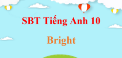 Sách bài tập Tiếng Anh 10 Bright | Giải SBT Tiếng Anh 10 Bright (hay, chi tiết)