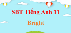 SBT Tiếng Anh 11 Bright | Giải sách Bài tậpTiếng Anh 11 Bright (hay, chi tiết)