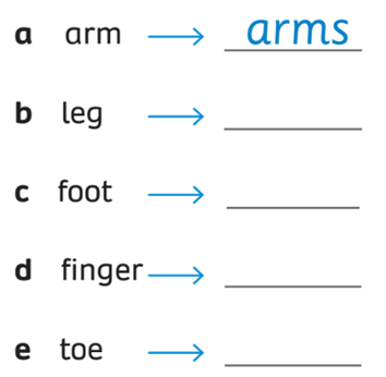 Sách bài tập Tiếng Anh lớp 3 English Discovery Unit 4 Lesson 3: Vocabulary and Grammar 2 (trang 41)