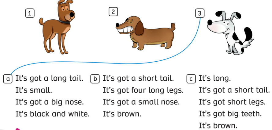 Sách bài tập Tiếng Anh lớp 3 English Discovery Unit 6 Lesson 6 (trang 65)