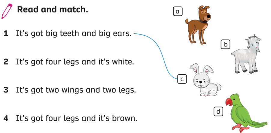 Sách bài tập Tiếng Anh lớp 3 English Discovery Unit 6 Lesson 8: Skills/Project (trang 67)