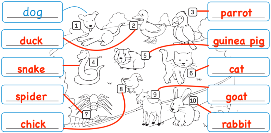 Sách bài tập Tiếng Anh lớp 3 English Discovery Unit 6 Lesson 9: Review (trang 68, 69)