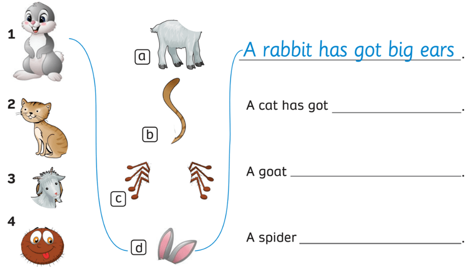 Sách bài tập Tiếng Anh lớp 3 English Discovery Unit 6 Lesson 9: Review (trang 68, 69)