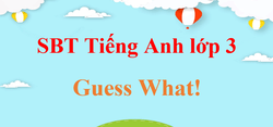 Sách bài tập Tiếng Anh lớp 3 Guess What! | Giải sách bài tập Tiếng Anh lớp 3 (hay, chi tiết)