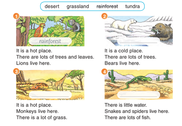 Sách bài tập Tiếng Anh lớp 3 Guess What! What types of habitats are there?