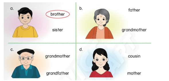 Sách bài tập Tiếng Anh lớp 3 Phonics Smart Unit 1: This is my mother