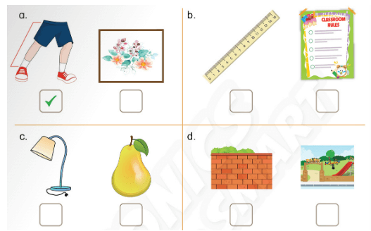 Sách bài tập Tiếng Anh lớp 3 Phonics Smart Unit 10: These are rubbers