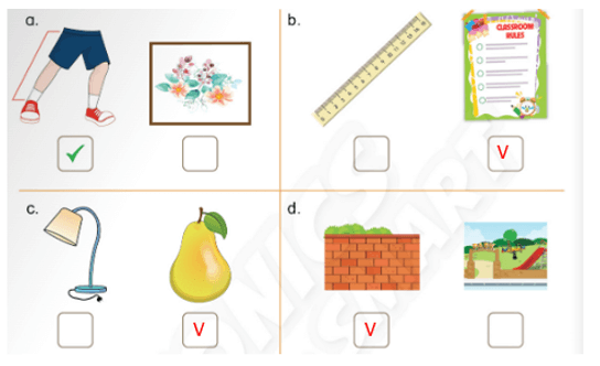 Sách bài tập Tiếng Anh lớp 3 Phonics Smart Unit 10: These are rubbers