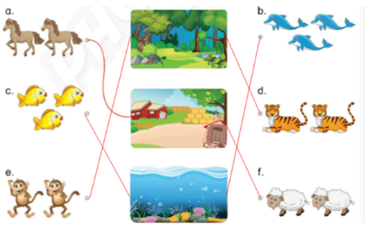 Sách bài tập Tiếng Anh lớp 3 Phonics Smart Unit 12: The bird can fly