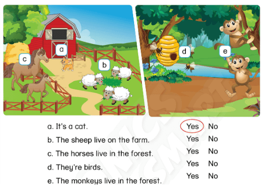 Sách bài tập Tiếng Anh lớp 3 Phonics Smart Unit 12: The bird can fly