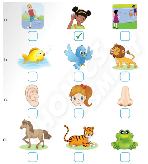 Sách bài tập Tiếng Anh lớp 3 Phonics Smart Unit 12: The bird can fly