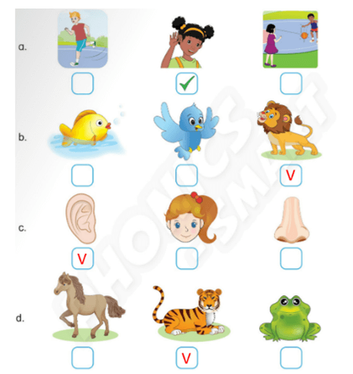 Sách bài tập Tiếng Anh lớp 3 Phonics Smart Unit 12: The bird can fly